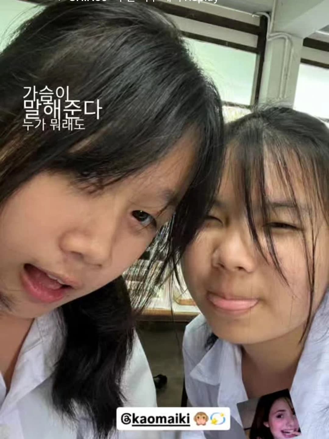 กวางและข้าวใหม่